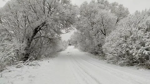 Road and trees in snow (3) Stock Footage 297562964