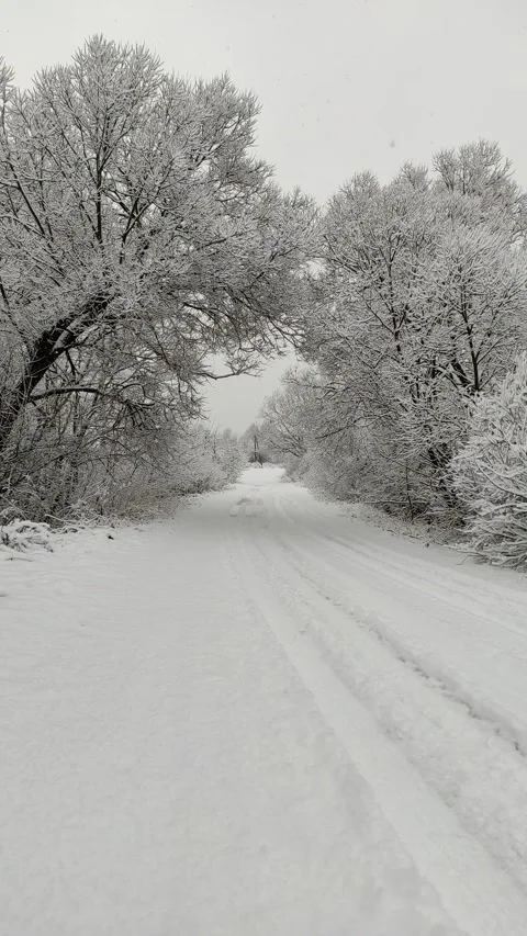 Road and trees in snow (4) Stock Footage 297562926