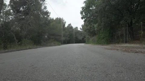 Road asphalt low angle mountain trees overcast Stock Footage 321880150