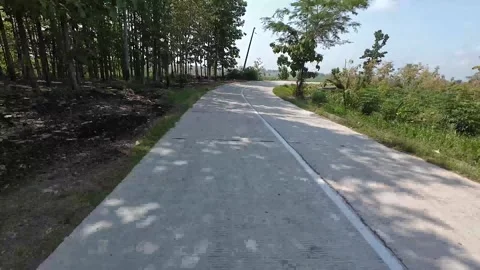 Road atmosphere through Deforestation in the district of Ngawi, East Java Stock-Footage 317687707