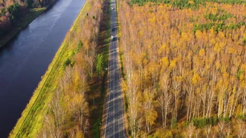 Road in the autumn forest aerial view. Stock Footage 337444896