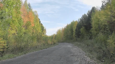 Road in the autumn forest Stock Footage 28502554