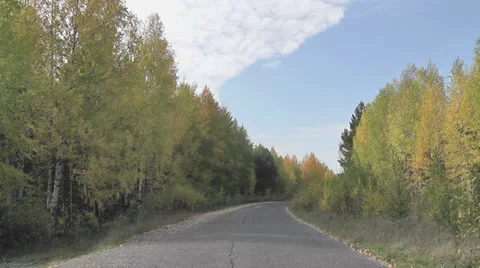 Road in the autumn forest Stock Footage 28503384