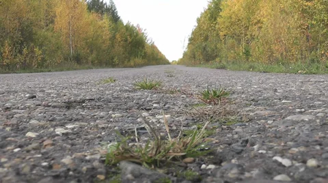 Road in the autumn forest Stock Footage 28505296