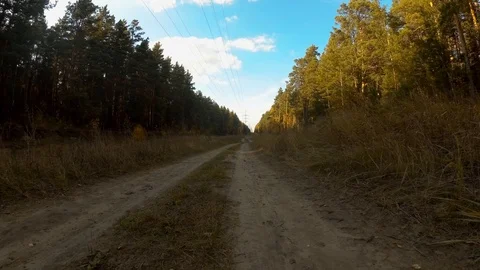 Road in the autumn forest Video stock 97534925