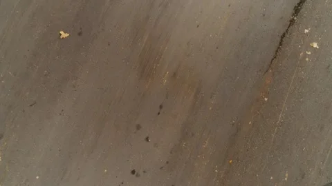 Road in the Autumn Forest Stock-Footage 161423970