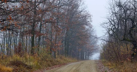 Road in autumn landscape Stock Footage 72144138