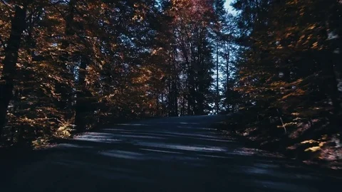 Road in autumn mountains Video stock 81623116