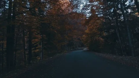 Road in autumn mountains Stock Footage 81716087