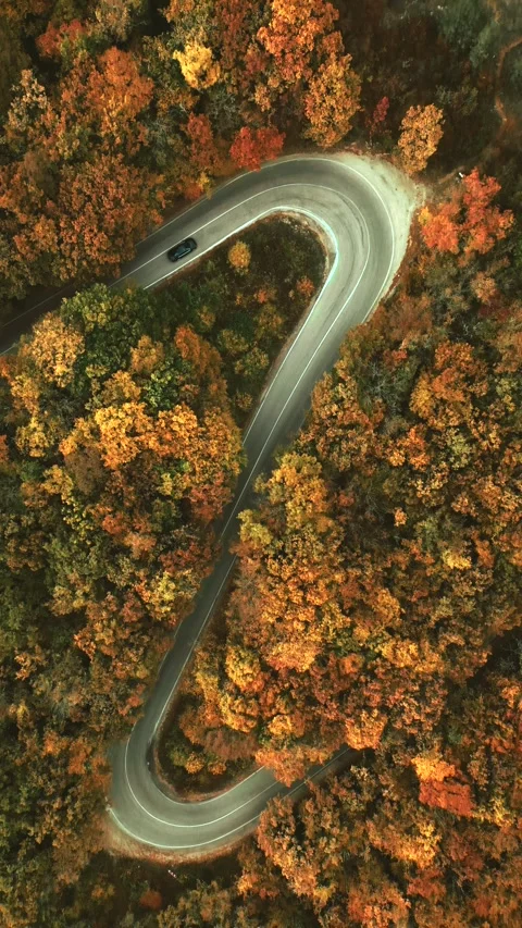 The road in the autumn mountains Stock Footage 254188218