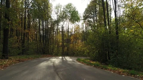 Road in the Autumn Park Stock Footage 161423978