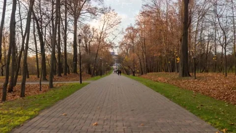 Road in autumn park Video stock 221702753