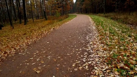 Road in the autumn park Stock Footage 254976624