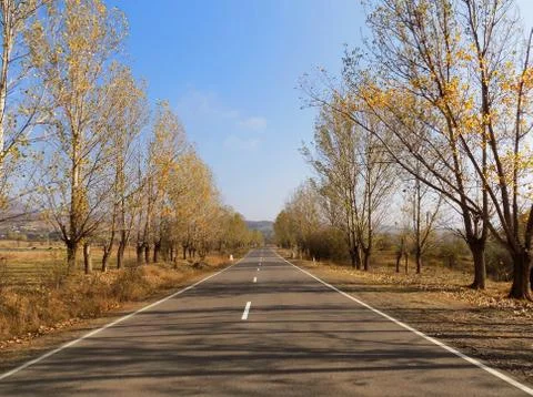 The road of autumn Stock Photos