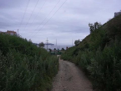 The road to the Bay Vídeo Stock 87698849