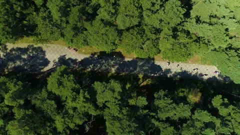 Road Beach Forroad Forest Beach Debki Droga Plaza Las Aerial View Poland Stock Footage 245881788