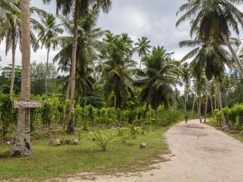 The road to the beach Stock Photos