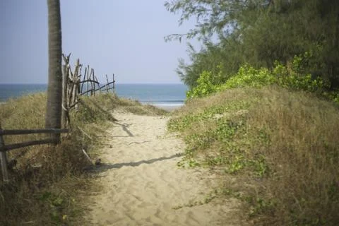 Road to the beach Stock Photos
