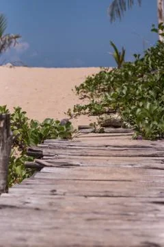 Road to the beach. Foto stock
