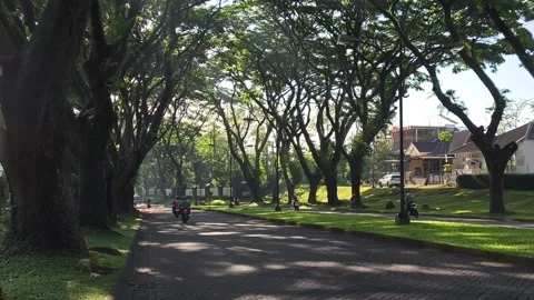 Road with a beautiful view of lush trees. Vehicles. East Java - October 1, 2025 動画素材 323328801