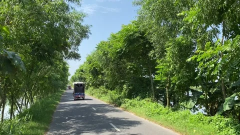 The road is beautifully lined with trees, the Beauty of Village Road, Stock Footage 285773543