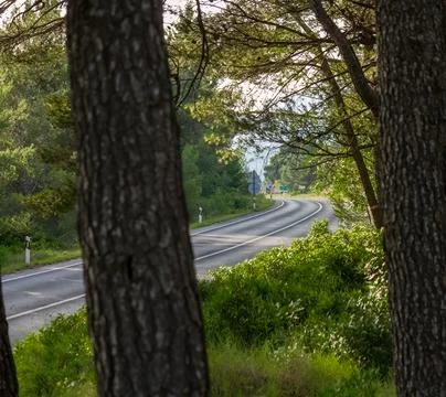 Road bend Stock Photos