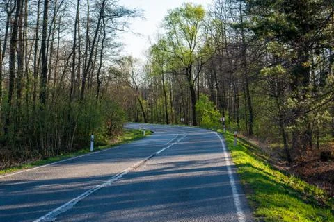 Road with a bend in the spring forest Stock Photos