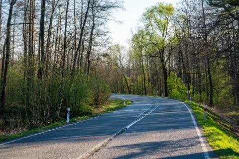 Road with a bend in the spring forest Stock Photos