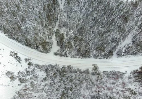Road bend in winter surrounded by forest, Lithuania Stock Photos