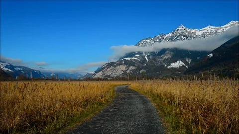 The road bends around the field. Stock Footage 82460102