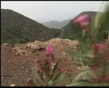 Road to Berkane Stock Footage 517568