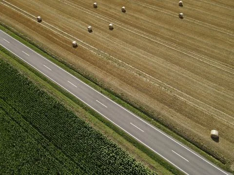 Road between agriculture fields in the landscape from above Foto stock
