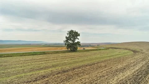 Road between the autumn fields 스톡 동영상 161645371