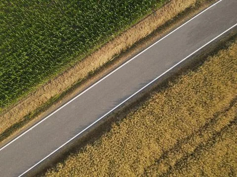 Road between a corn field and a ripe crop field from above in summer Stock Photos