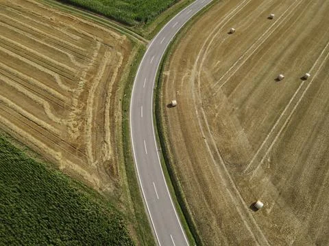 Road between corn fields and mowed grass fields with hay bales in the landscape Stock Photos