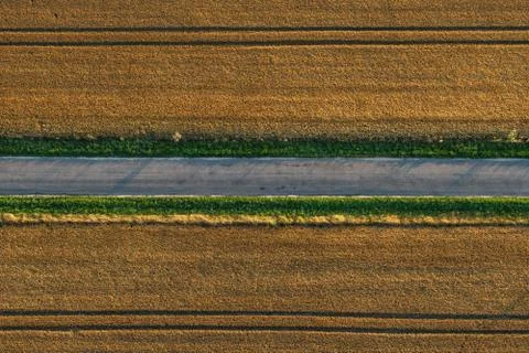 The road between the field Stock Photos