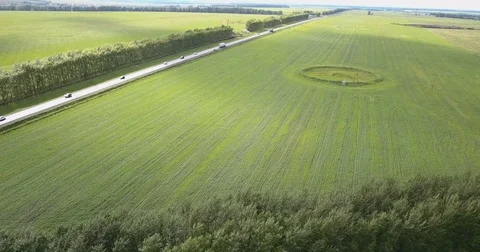 Road between fields and forest belts in summer Stock Footage 77489112