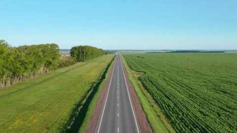 Road between fields and forest belt. 스톡 동영상 113695492