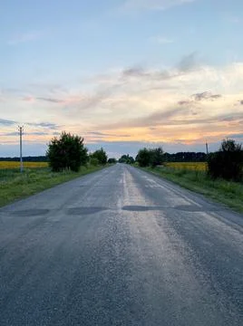 Road between fields with blooming sunflowers in Ukraine Stock Photos