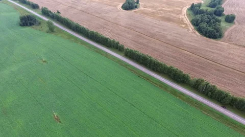 The road between the fields Stock-Footage 67873759