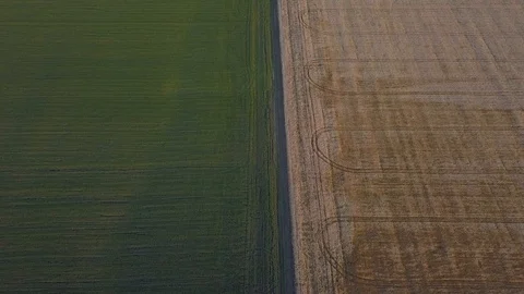 Road between fields Stock Footage 91372584