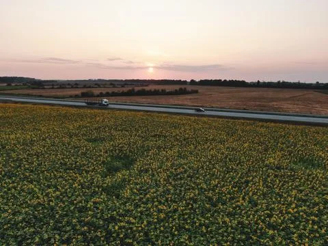 The road between fields Foto stock