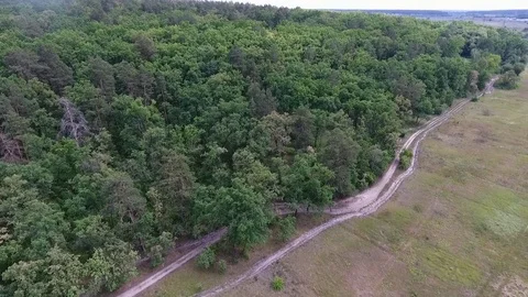 Road between the forest and the field, a big green forest Stock Footage 83158121