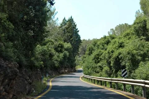 Road between the forest in the mountains Stock Photos