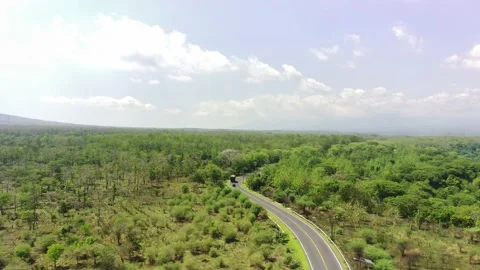 The road between the forests in National Park Situbondo, East Java Vídeos de archivo 221291364