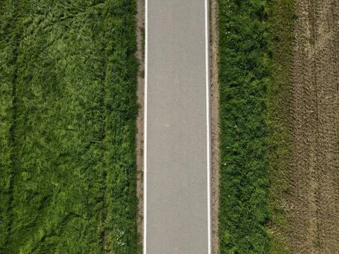 Road between grass fields in the landscape Stock Photos