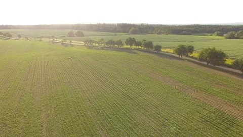 Road between green fields Stock Footage 76631589