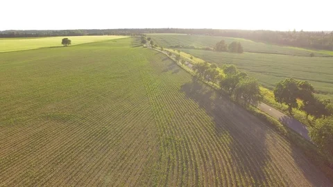 Road between green fields Stock Footage 76631681