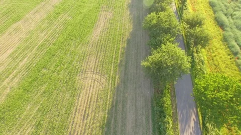 Road between green fields Stock Footage 76637730