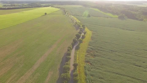 Road between green fields Stock Footage 76637991